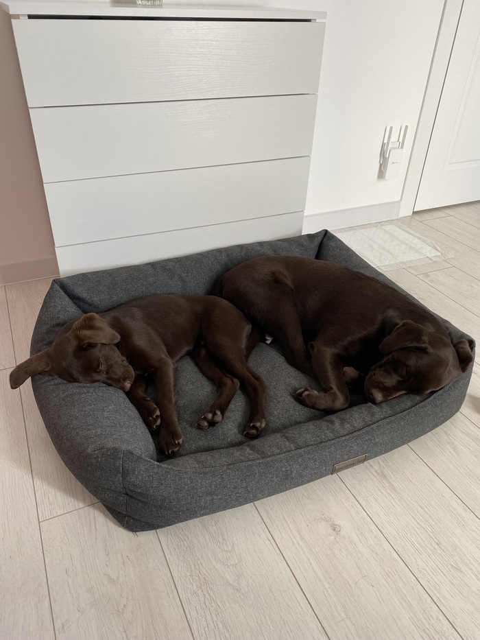 �� ��� �, ������ ��� ���������� ����� ������ ���� � ��������� ������� �������)