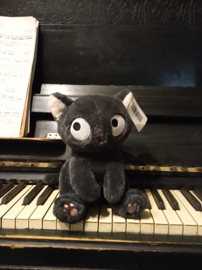 Вытащила котика из автомата! Как назовем?