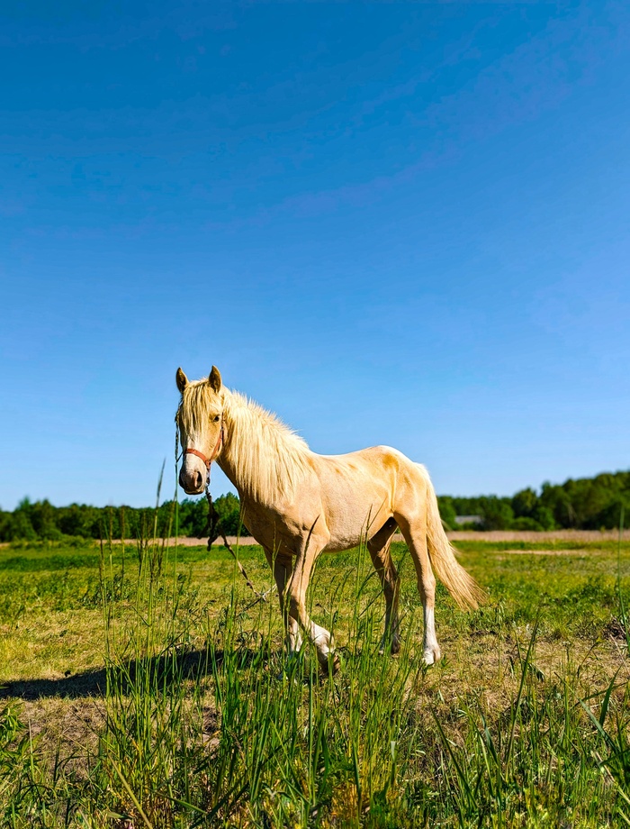 ��, ��� ������ ��������, ��� � ���� ���������, �� ����...