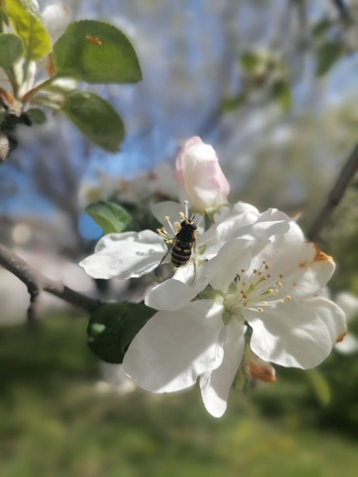 ��� ��� ����� �����...