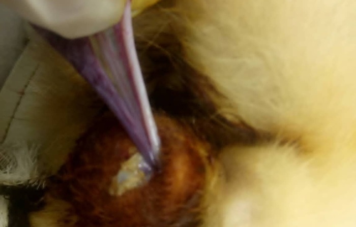 ����� �������� ����������� � ������� ����������� �����.