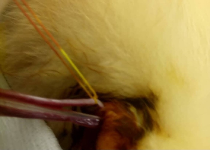 ���� ��������� ��������� ��������.