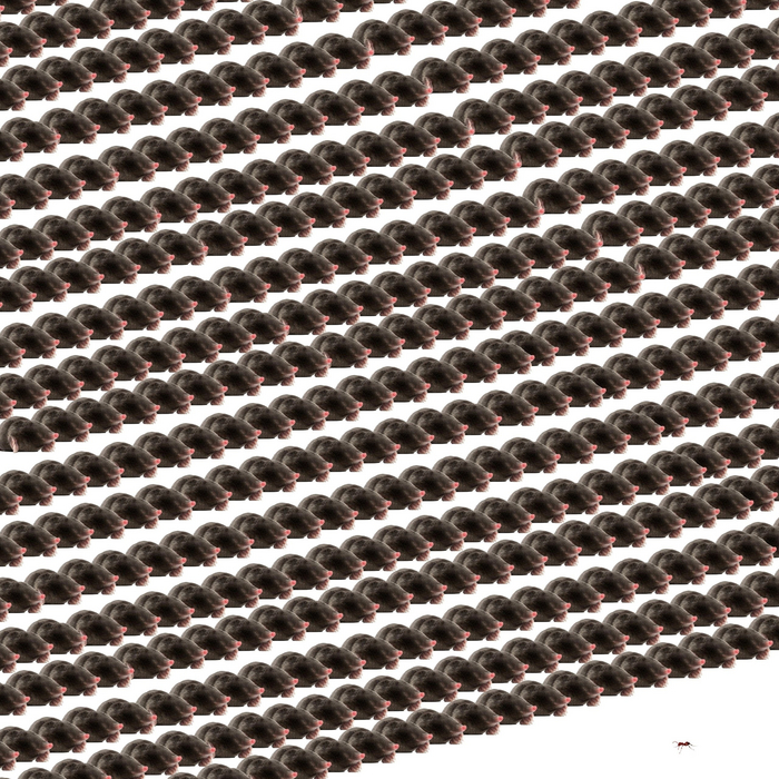     - <!--noindex--><a href="https://pikabu.ru/story/grisha_2_11429272?u=https%3A%2F%2Fvk.com%2Fkvazar_01&t=https%3A%2F%2Fvk.com%2Fkvazar_01&h=bb86c326ce759979ed4ec71b4d44cfc1343b5e75" title="https://vk.com/kvazar_01" target="_blank" rel="nofollow noopener">https://vk.com/kvazar_01</a><!--/noindex-->