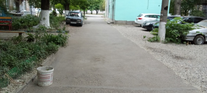 Там немного мусора успело нападать с деревьев