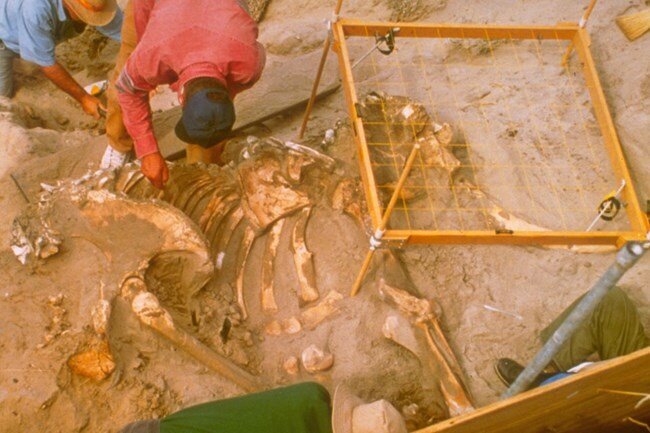 �������� 50-������� "���������"