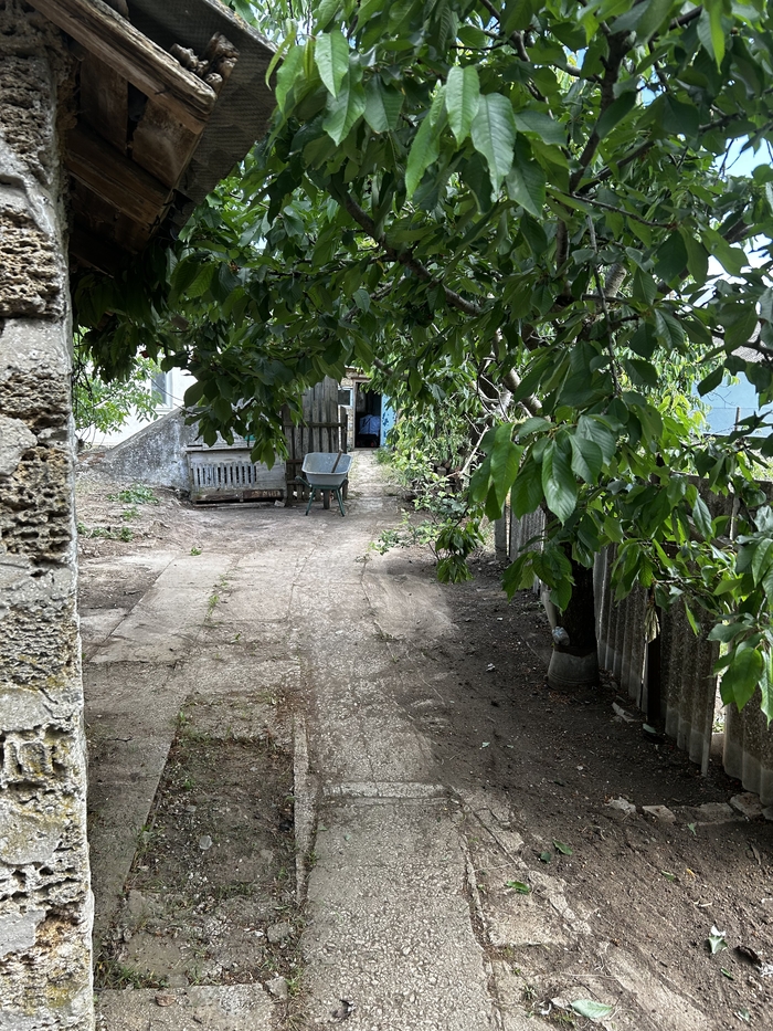 Переезд в Крым : сколько стоит убрать срач? | Пикабу