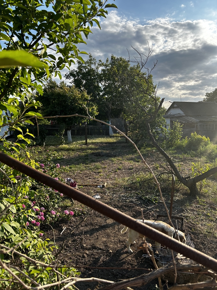 Переезд в Крым : сколько стоит убрать срач? | Пикабу