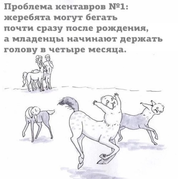 �������� ���������