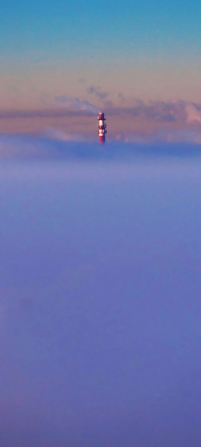   ,  ,  , , , , 