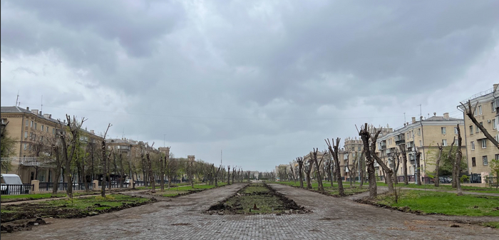 ������������ �����.�����������.