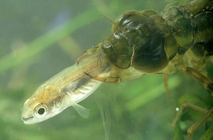 � ���, �� ���� ���� ����� �� ����!