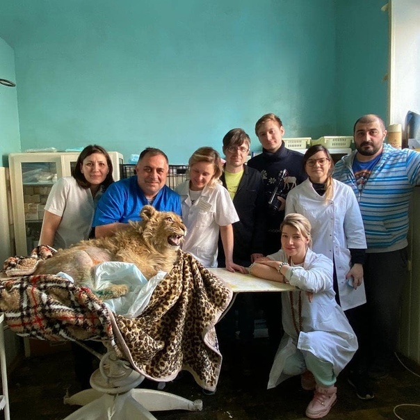 ������ ����?