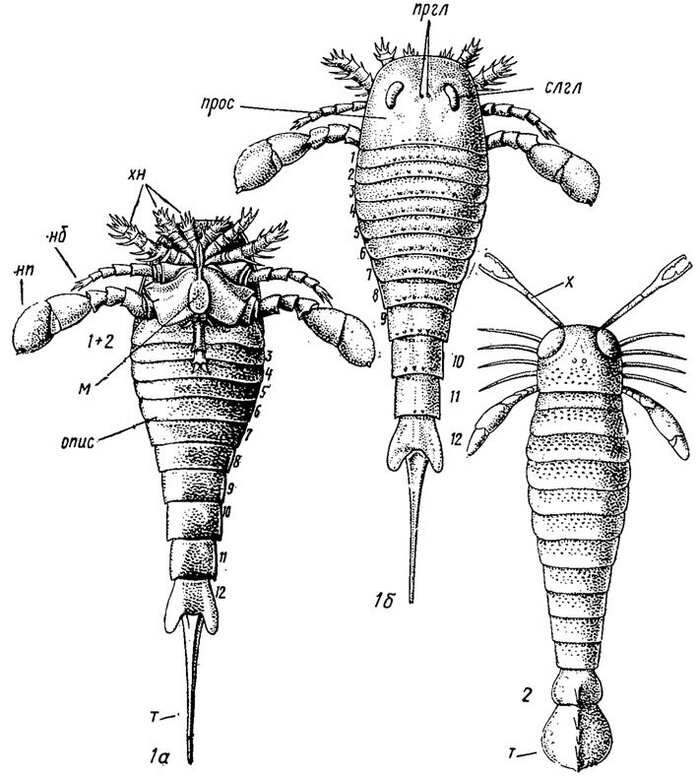 ������� ������������. ������ �������� ��� � ����������� �������� ���