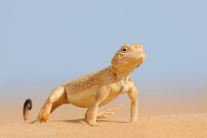 ��� ����� �������, ������� � +35 �������, ��� �� ����� ���������.