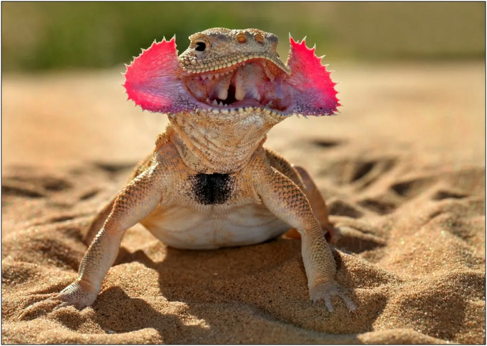 �� ����� ��������� ����� ��������� �� ���, � ����� ������ � ������ ������������� ��������.