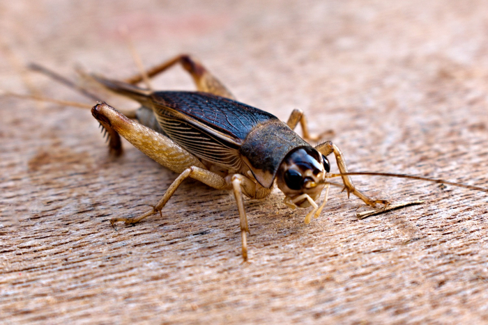 ��� ��� ������� ������� ��������� ��������� ���� �� ����� �� ������������ ����, �� ����� � ������ ��������� �� ���� �������� ��������.