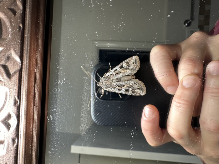 ������� ���, ���� ����� �� ������ ����� ����.