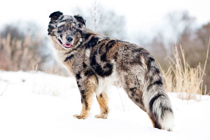 ���� ���� �� ���� ������ ����� ��� ����� ������� �������.