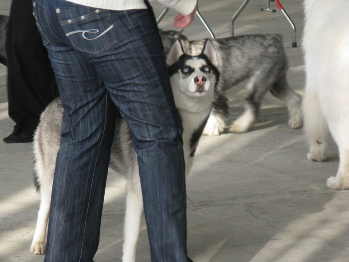 ���� ���������� ���