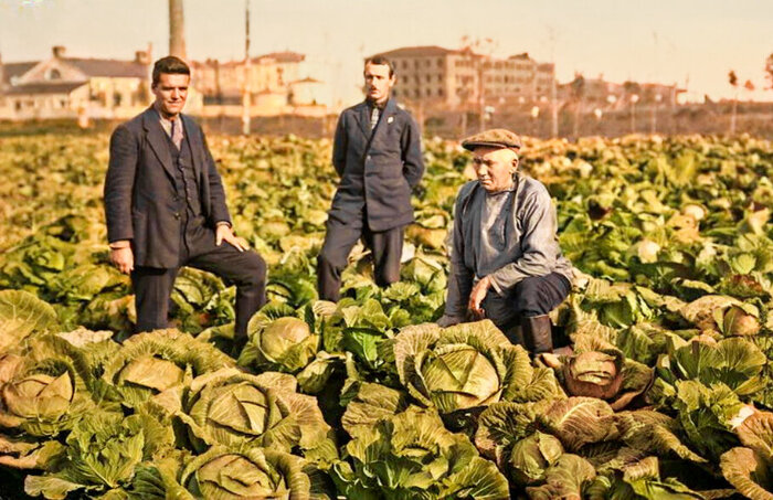 Фотографии Ленинграда довоенного времени. 20 раскрашенных фотографий 1930-х годов Колоризация, Старое фото, Фотография, Историческое фото, Архитектура, Ленинград, Санкт-Петербург, СССР, 1930-е, Длиннопост