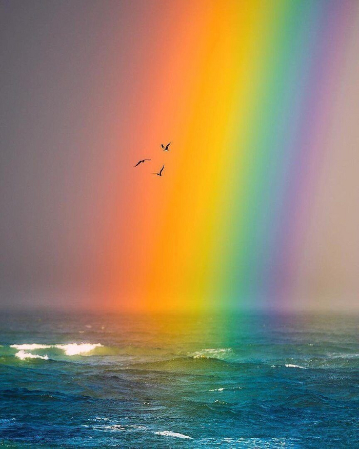 Rainbow , 