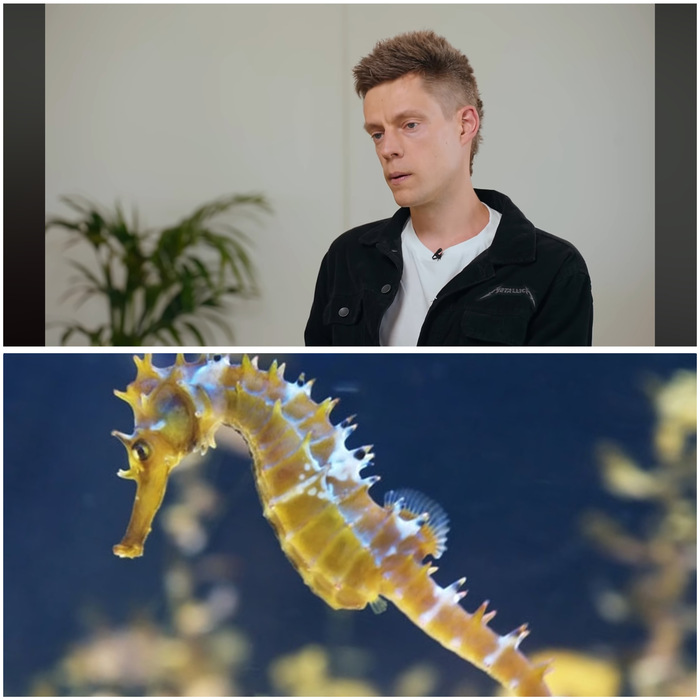          ??  , 