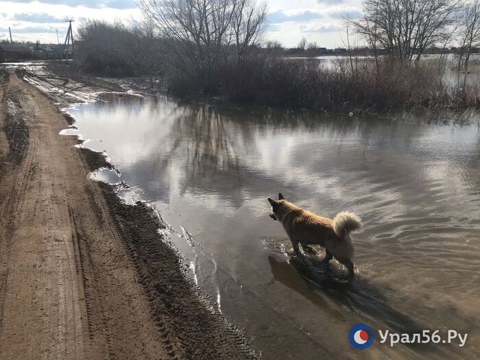 На фото: поселок Новый Кумачок в Орске