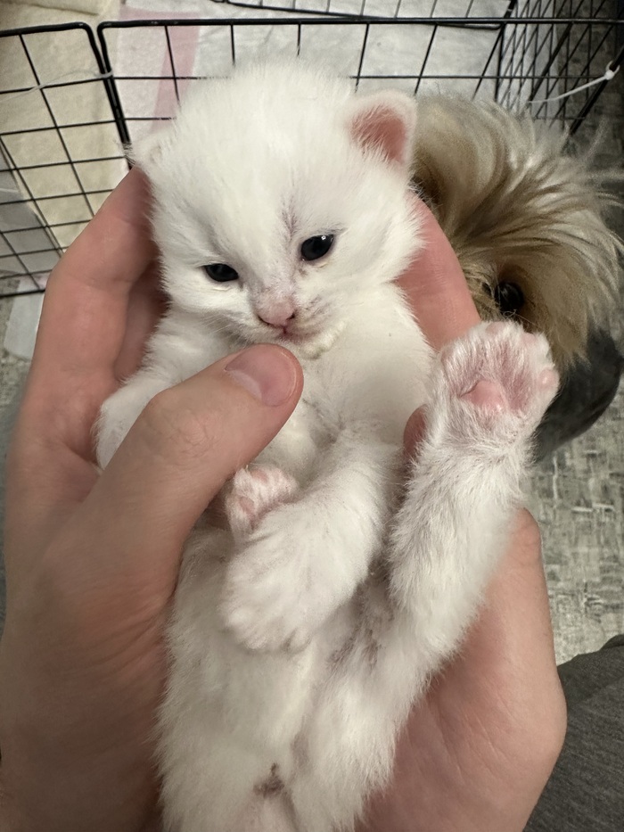 ��� ����� ���������� �� ���� ������� � ���������. ����� ������ ������ ��� ����� ��������� ��������.