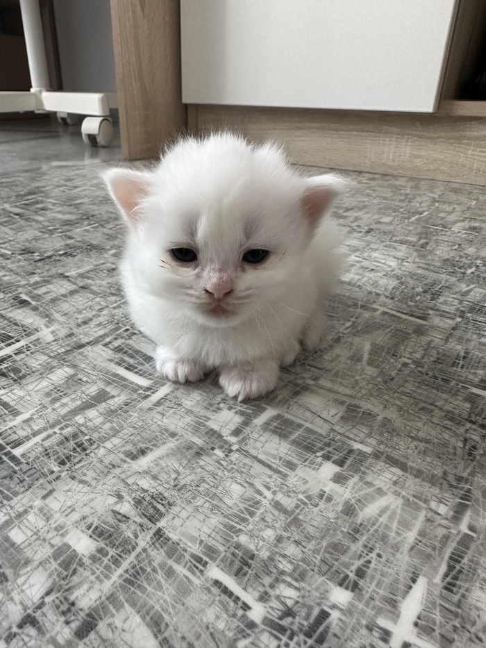 ����� ��� ��������. ����� ������, � ����-����� ����. ��������� ������� ������ ��������� �� �������������, �� ������.