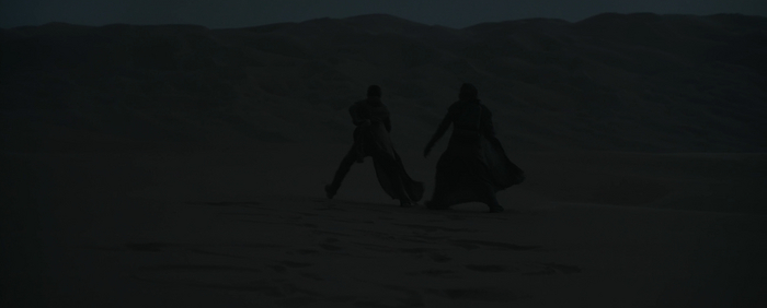 Походка, не привлекающая внимания червей. «Дюна: Часть вторая»