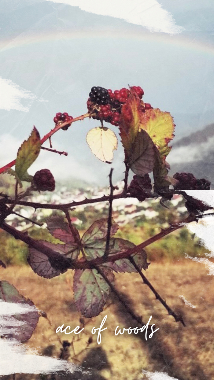 Творческий потенциал, вдохновение, плодотворность