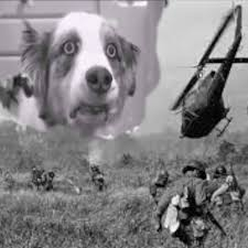 Джонни, они в интернетах !