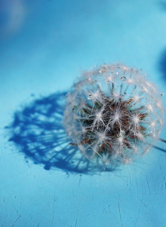 ������ ���������, ������ �������� ��������� ���� ������� 