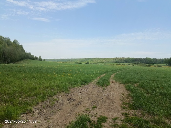 ������, �������� � ������, ������ ���� ��� �� �����.