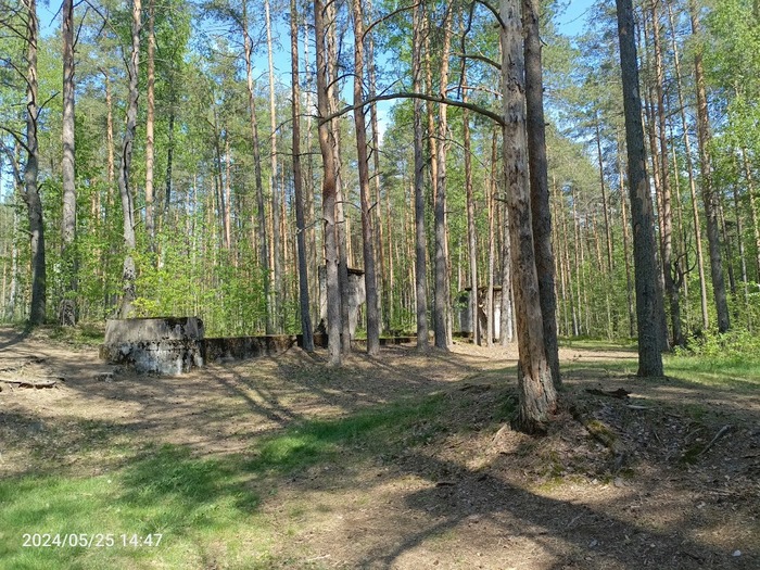 ������ �����. ����������� �������������� ������� � ������. �� � ����� ������� ����������