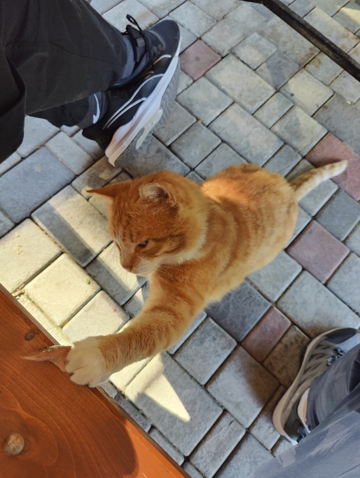 &quot;&quot; -   :)))