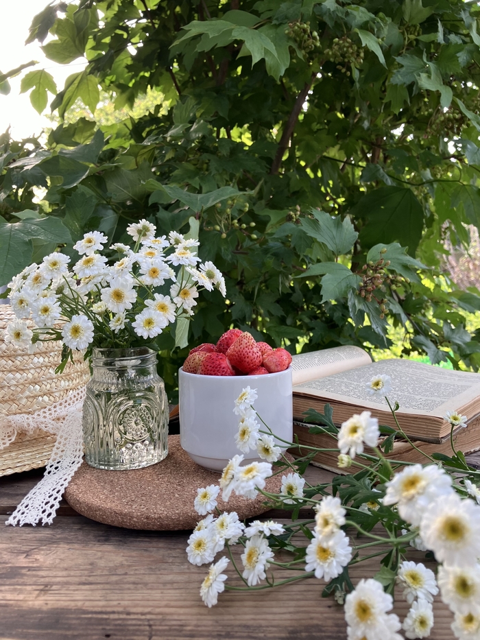 �� ������ ���