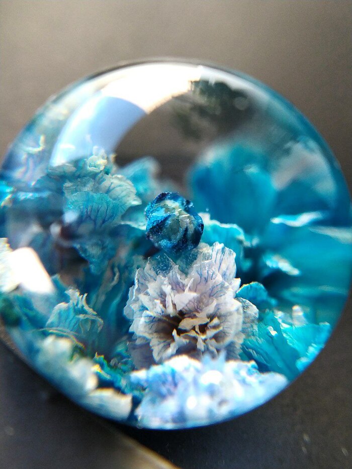 Целый мир внутри