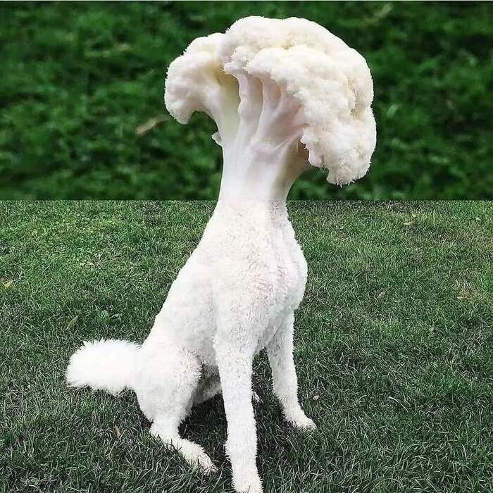  , , 