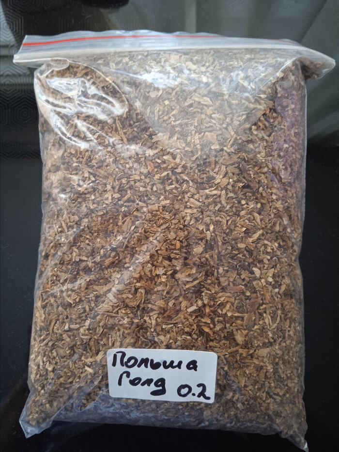 Вирджиния Голд Польша от Сталика 34