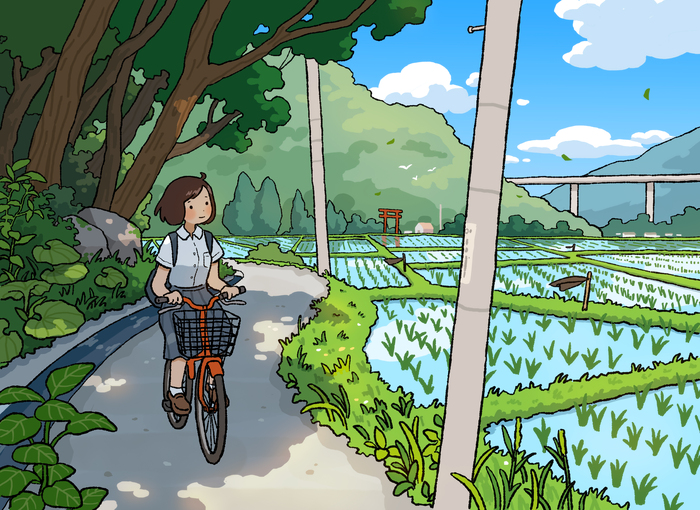 Рисовые поля