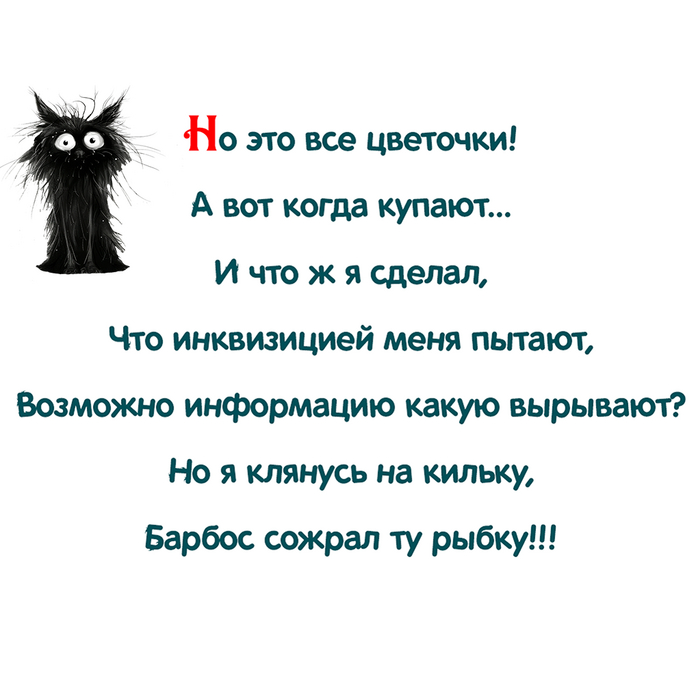 ������� �� ������ ������� �����. ������� �����