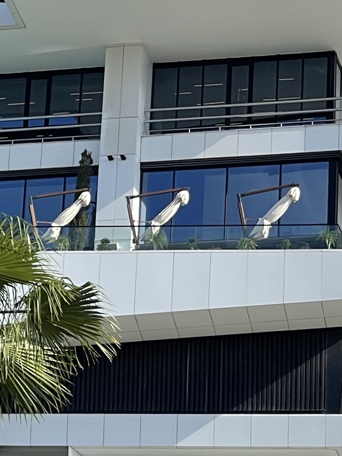 Что вы видите на этой картинке?