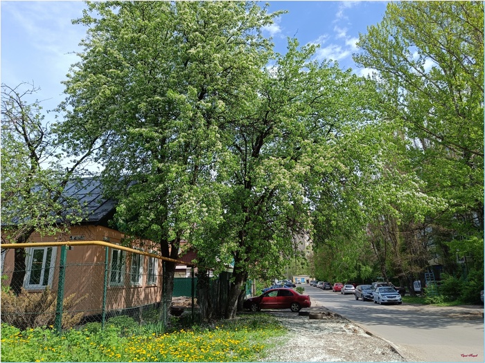 Тихая улочка...