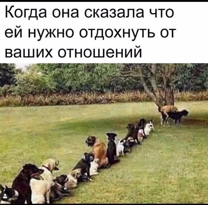 ����� �������