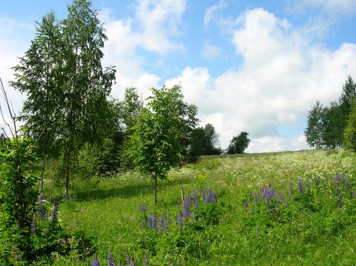 В долине реки Суйда