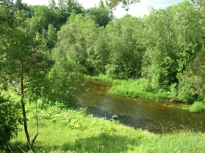 Река Оредеж