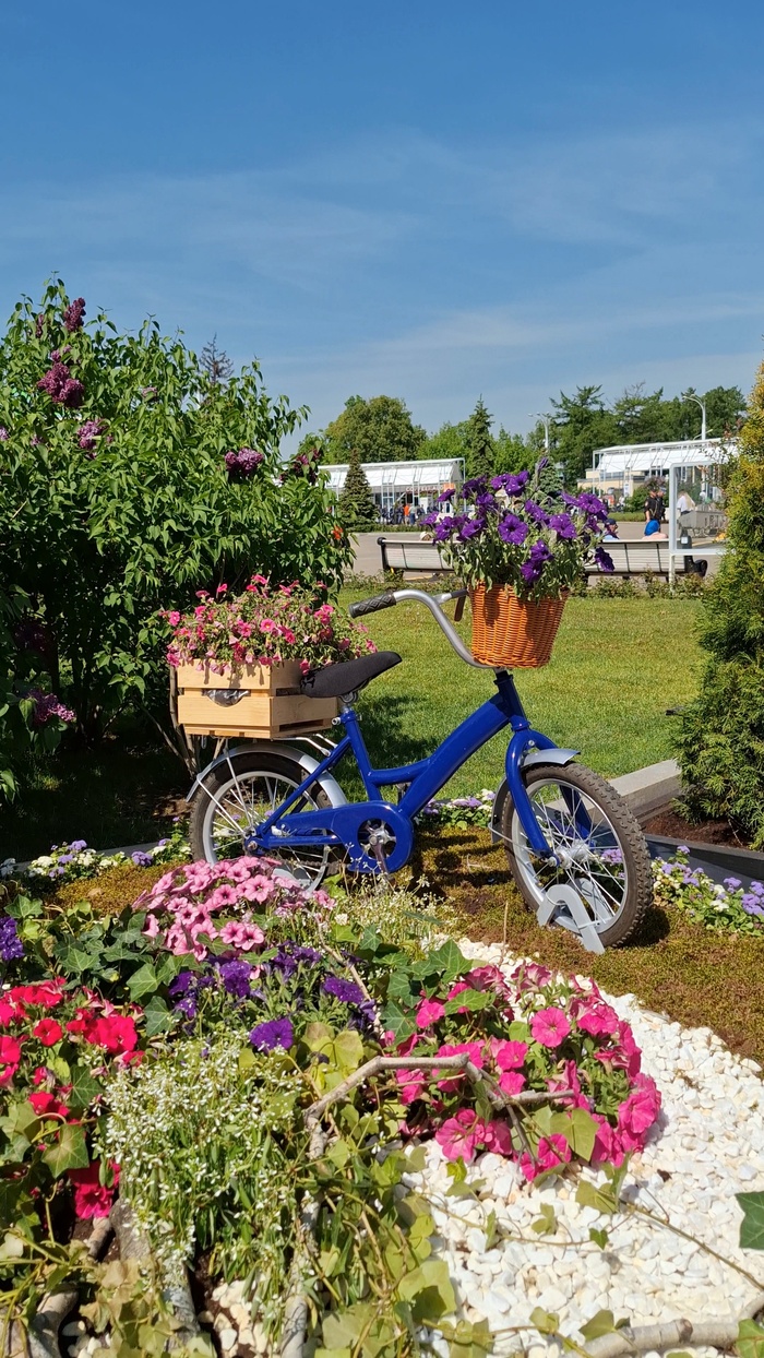 Цветочная композиция Брянской области