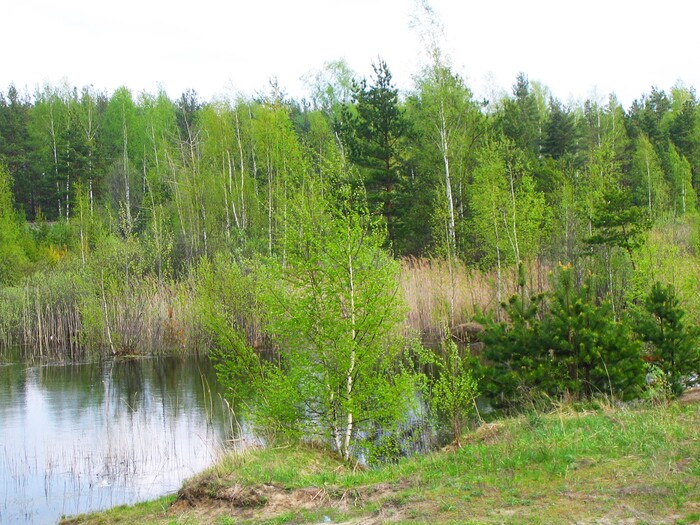 Весенний пейзаж