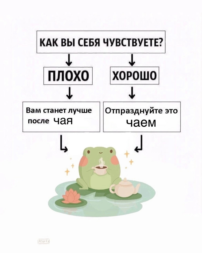 ����� ���� ������ ������� �� �����